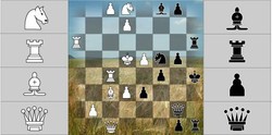 Schach auf natürlicher Basis von Michael Hartmann.