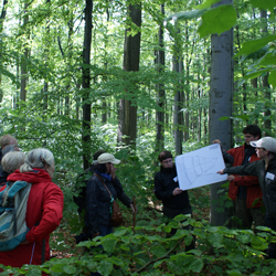 Studierende erklären Naturwald-Gästen die historische Wallanlage am Hünstollen