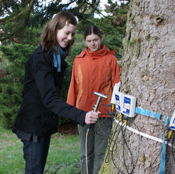 Schülerinnen erstellen Schalltomogramm am Baum